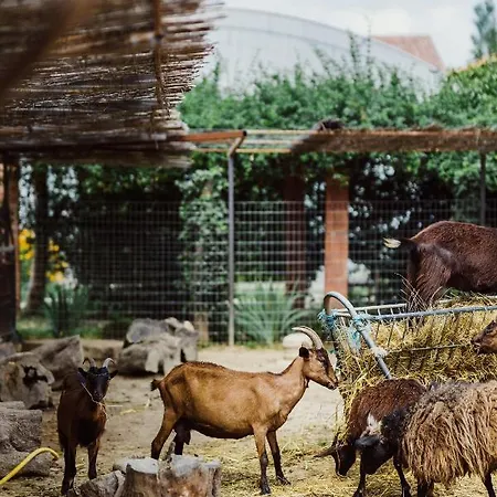 Blerina's Agritourism Concept *