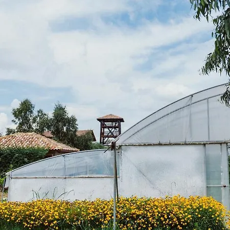 Hotel Blerina's Agritourism Concept *