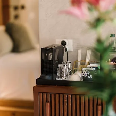 Blerina's Agritourism Concept Hotel *