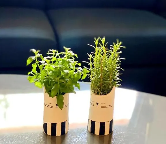 Blerina's Agritourism Concept *